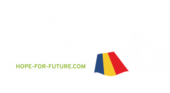 Hope for Future